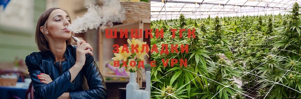 тгк Осинники