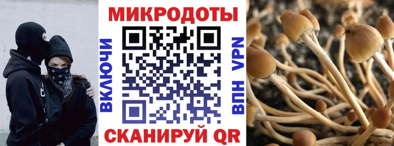 Галлюциногенные грибы мицелий  Тарко-Сале 